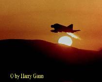 harry gann photography